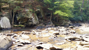 Sope Creek Hiking Trail